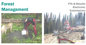Forest Management